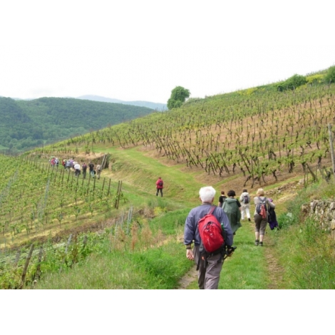 Séjour Randos printemps dans le Beaujolais