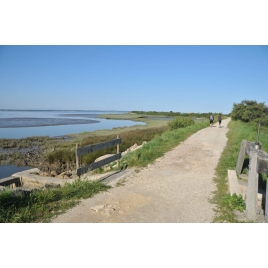 Séjour randos et balades au Bassin d'Arcachon