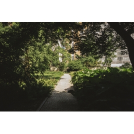 Promenade urbaine à la découverte des sols
