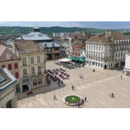 Sens - Renaissance d'un vignoble