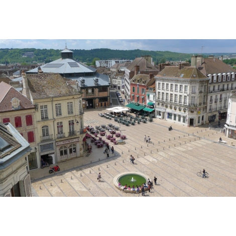 Sens - Renaissance d'un vignoble