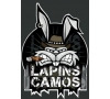 Matinée Paintball avec les "Lapins Camos"